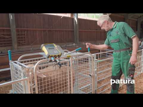 Mechanical scales for sheep and calves