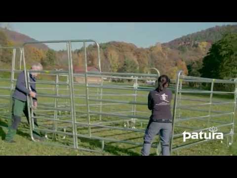 2x3 rangées de boxes pour chevaux