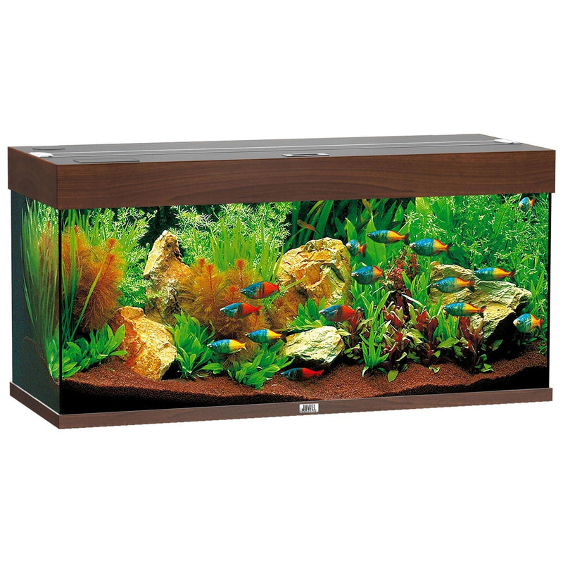 Aquarium Rio 180, brun foncé