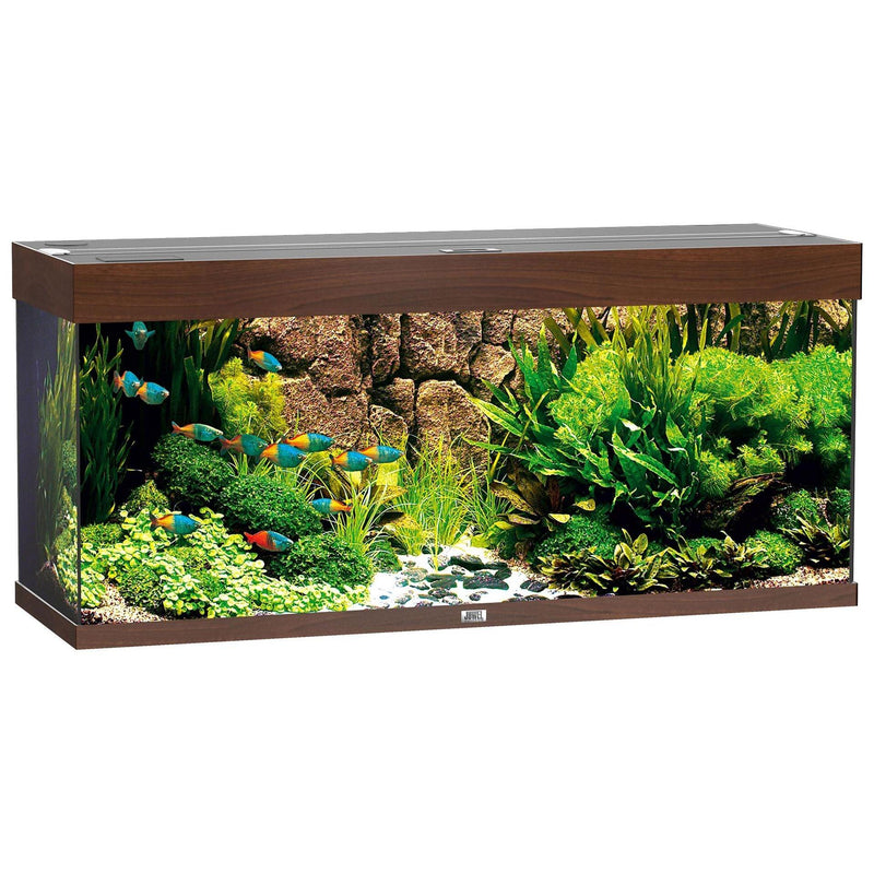 Aquarium Rio 240, brun foncé