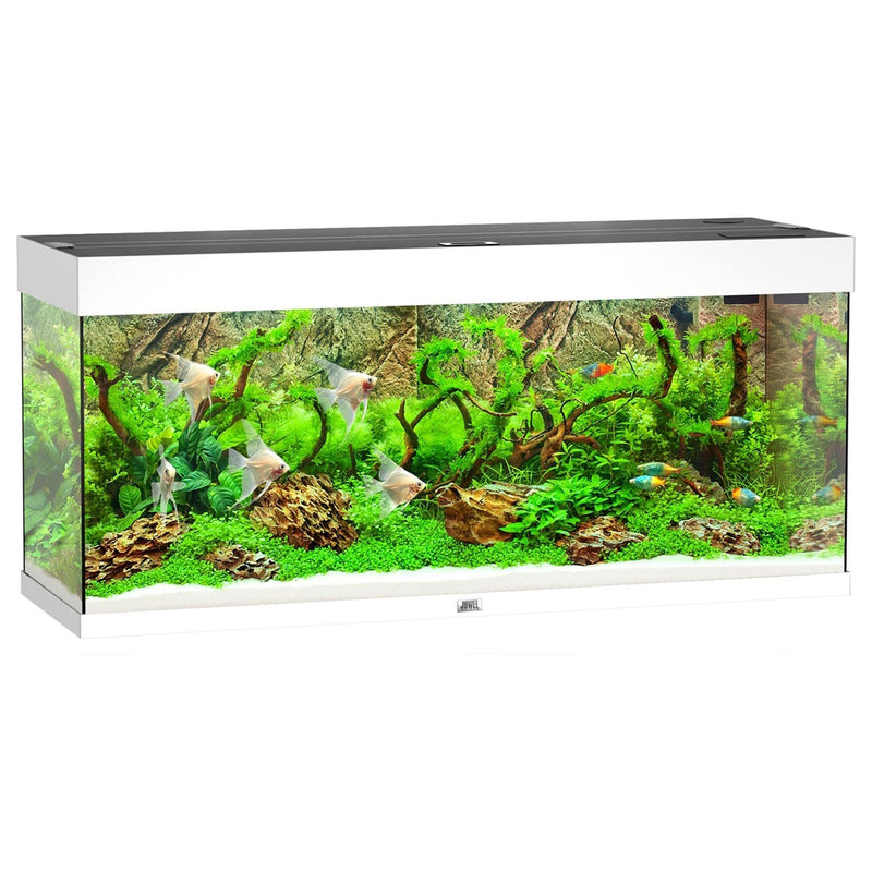 Aquarium Rio 240, blanc