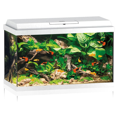 Aquarium Primo 70 LED, blanc