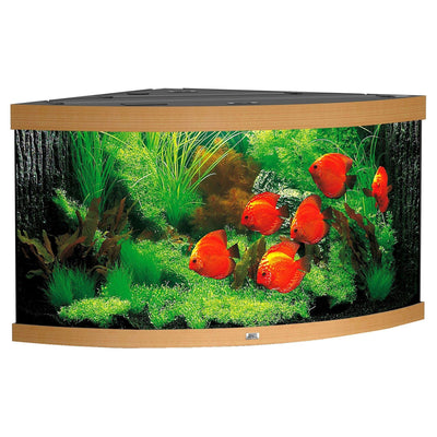 Aquarium Trigon 350,123x87x65cm bu