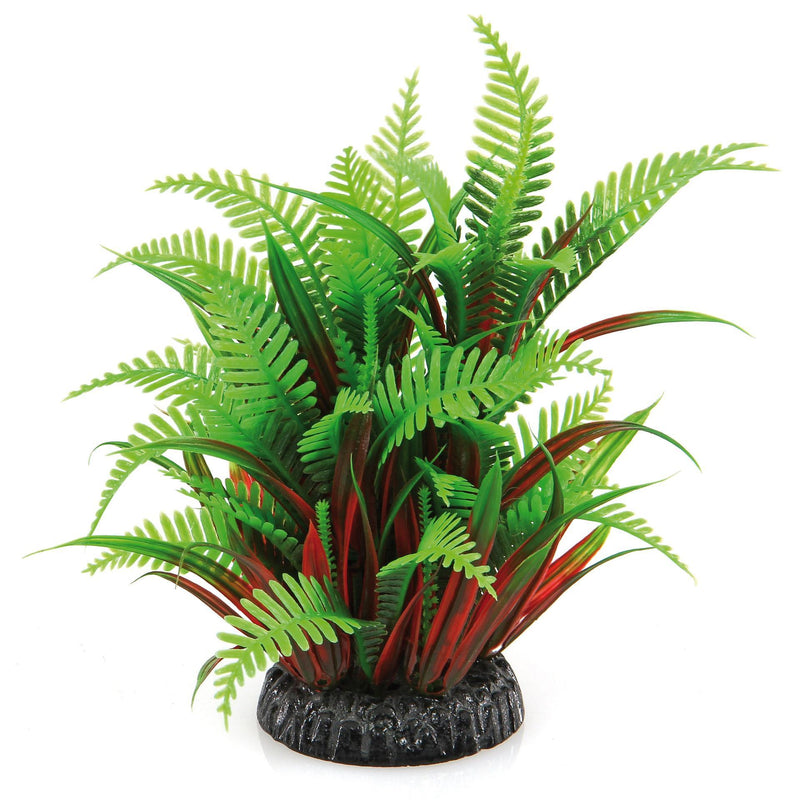 Fantasy Plant QL vert-rouge