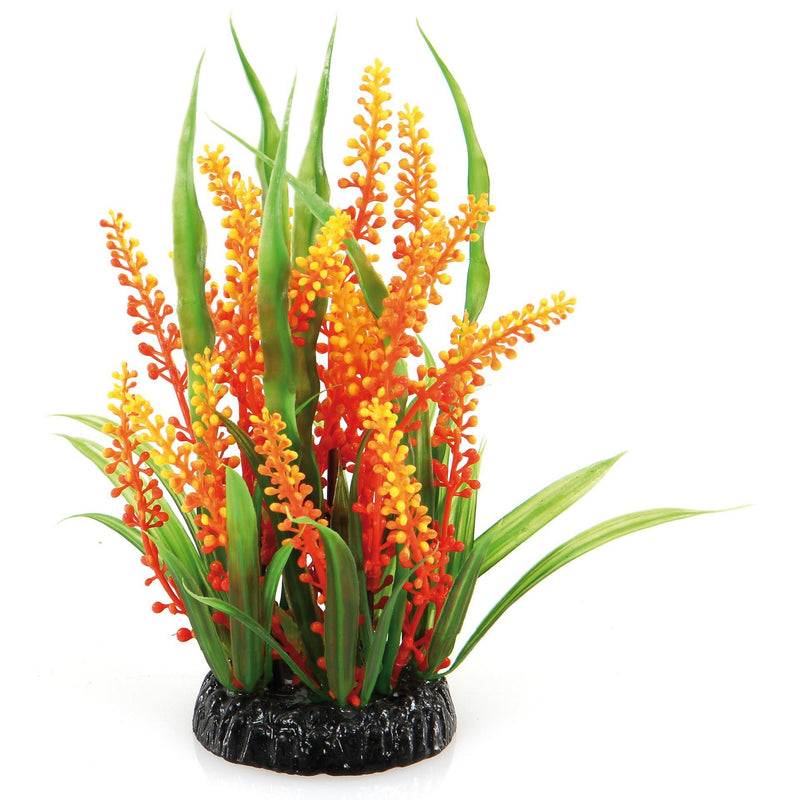 Fantasy Plant QL 125 vert-orange