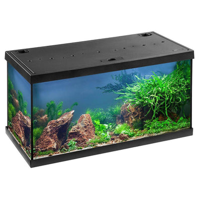 Aquarium Aquastar 54 LED