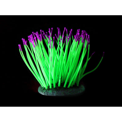 Plantes en plastique FLUO Sea-Anemone, vert