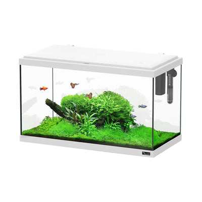 Aquarium Explorer Paris 60 LED, blanc