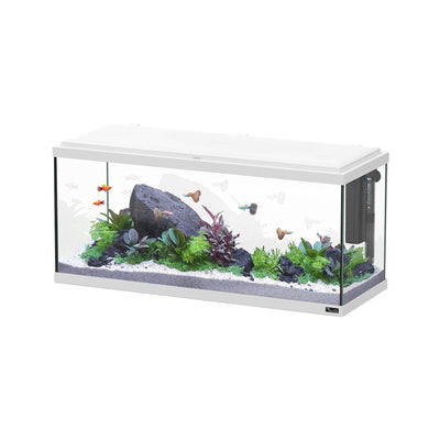 Aquatlantis Aquarium Explorer Amsterdam 80 LED