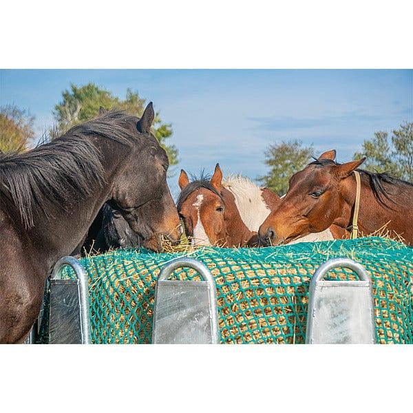 Sanilu_Chevaux_à_cheval_rond_Patura1