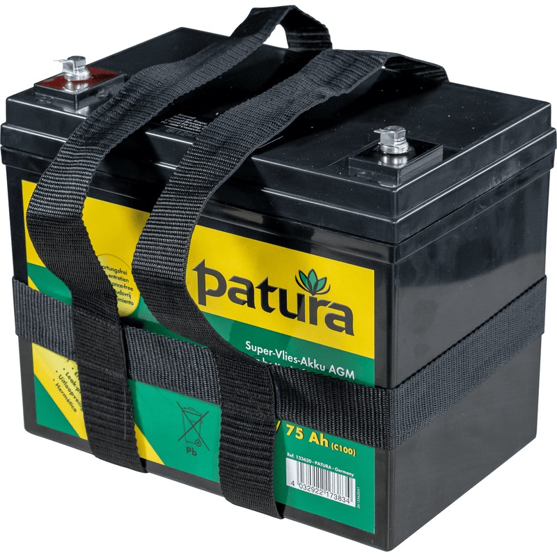 Batteria superpile 12V Patura Sanilu