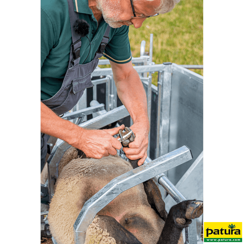 Fang- und Behandlungsstand Typ L Patura Sanilu