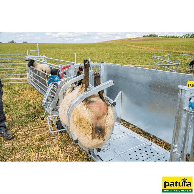 Fang- und Behandlungsstand Typ L Patura Sanilu