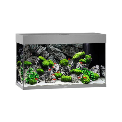 Acquario Rio 125, 81x36x50cm, grigio