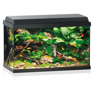 Acquario Primo 70 LED, nero