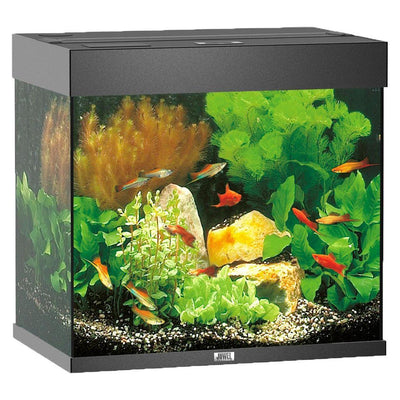 Aquarium Lido 120, schwarz