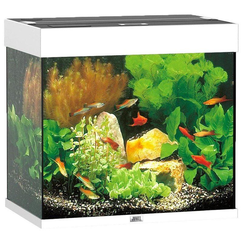 Aquarium Lido 120, weiss