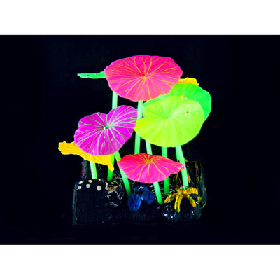 Piante di plastica FLUO Lotus R12, 10,5x9,5x6,5 cm