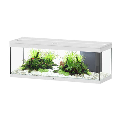 Acquario Aquatlantis Prestige 120