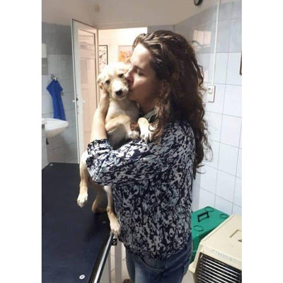 Aiutate i cani di strada in difficoltà con una donazione! Sanilu Sanilu